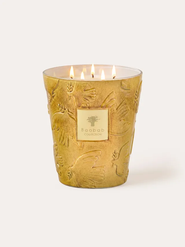 baobab-collection-paz-dove-bougie-parfum-e-classique-jaune image 1
