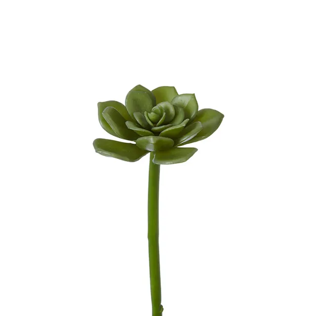 sia-deco-noah-succulente-piquer-verte-30-cm-echeveria image 1