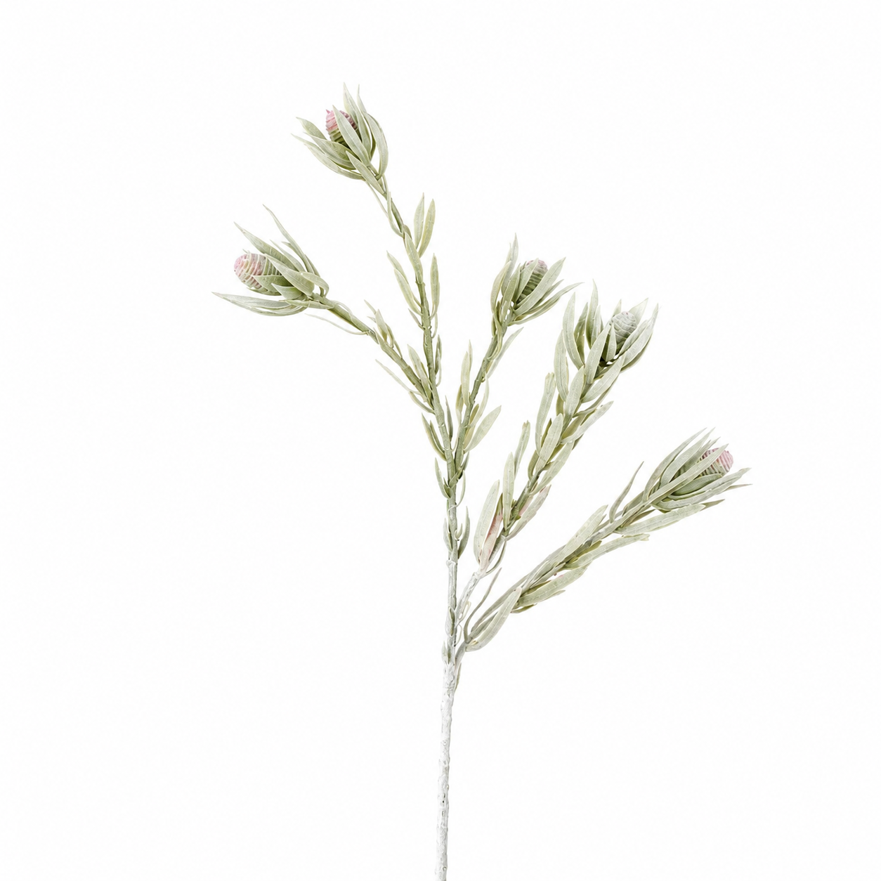 sia-noah-feuillage-protea-tombant-rose-77-cm image 1