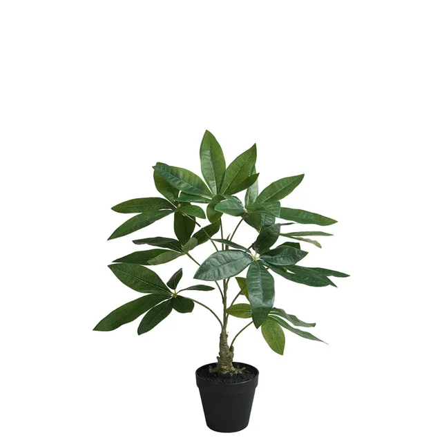 sia-deco-noah-pachira-artificiel-en-pot-vert-52-cm image 1
