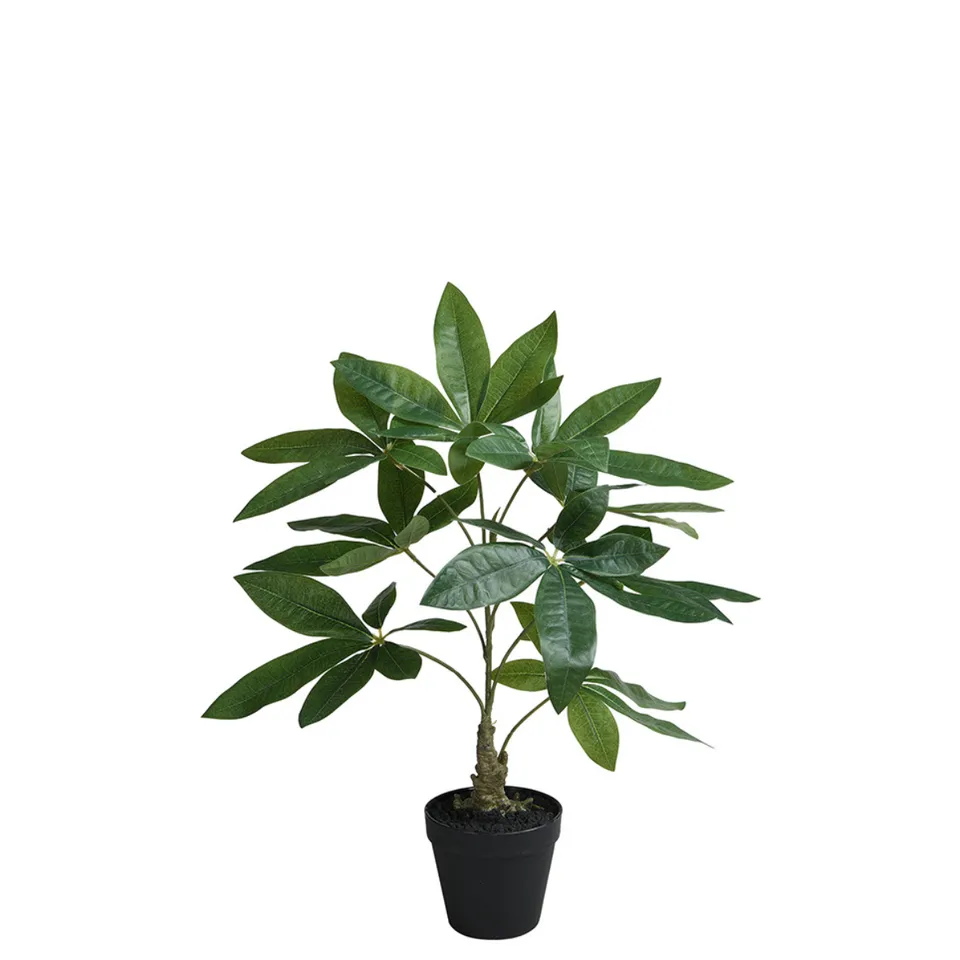sia-deco-noah-pachira-artificiel-en-pot-vert-52-cm image 1