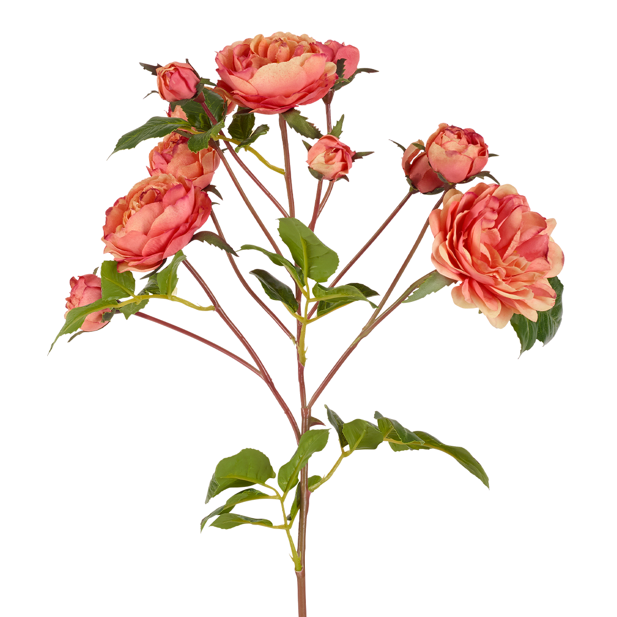 sia-deco-noah-tige-de-roses-artificielle-blanc-50-cm image 3