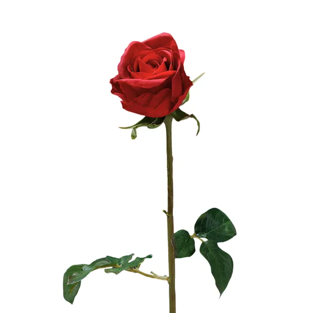 sia-noah-tige-rose-ferm-e-50-cm-rouge-premium image 1