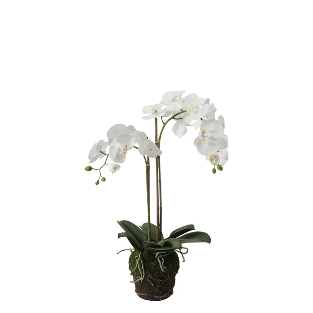 sia-deco-noah-orchid-e-phalaenopsis-artificielle-blanc-70-cm image 1