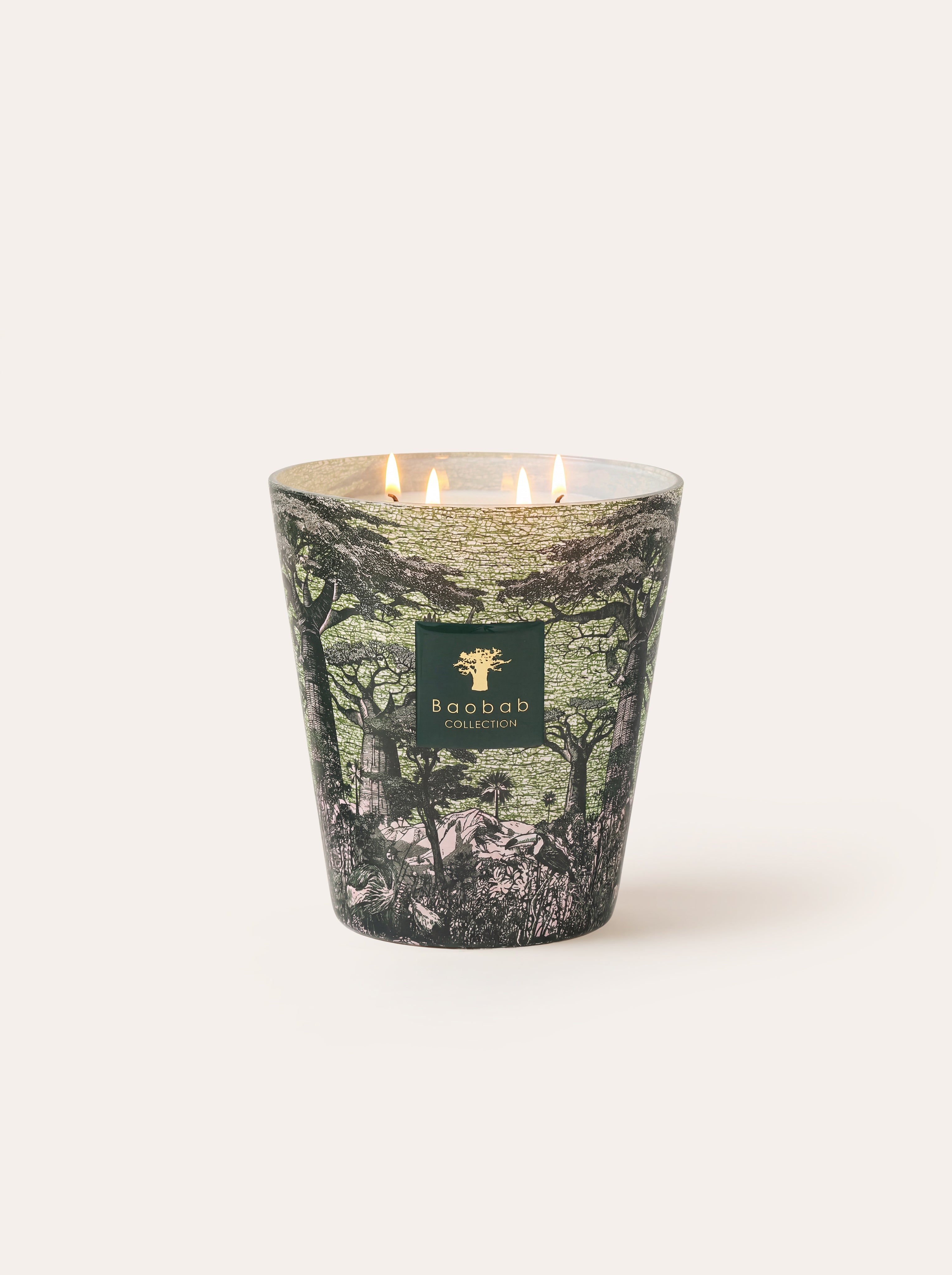 baobab-collection-touba-bougie-parfum-e-classique-sacred-trees image 5