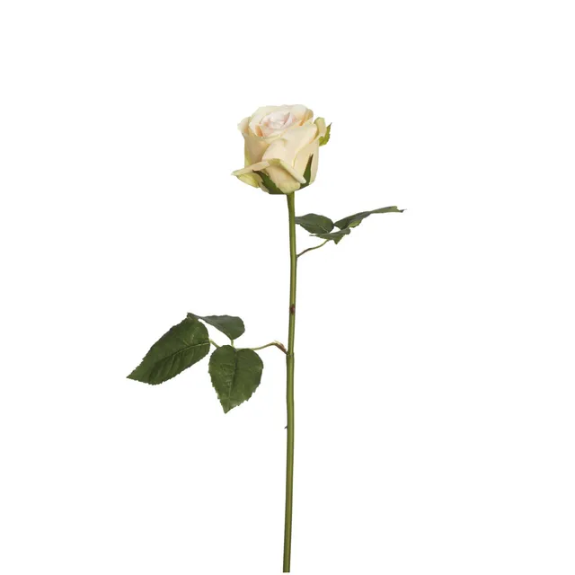 Sia Noah Diane tige rose artificielle 53cm crème
