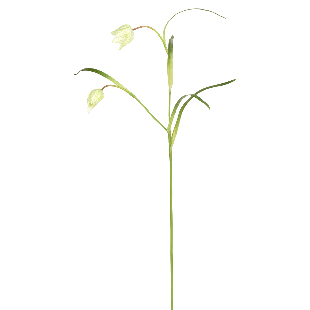 sia-deco-noah-tige-fritillaria-imp-riale-fleur-artificielle-rouge-70-cm image 7