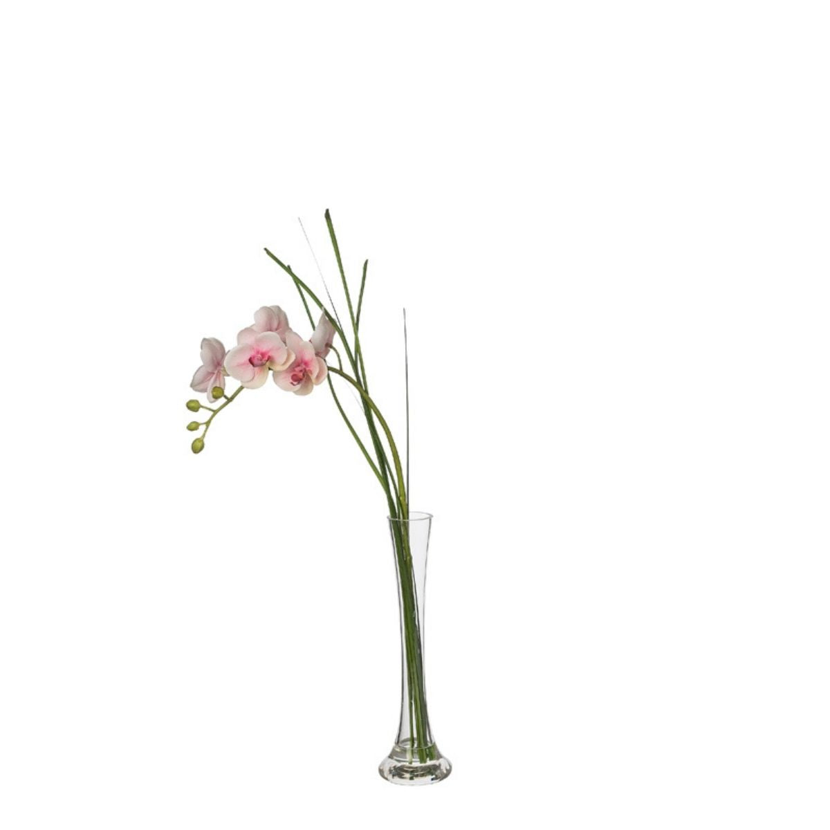 sia-deco-noah-orchid-e-eau-60-cm-cr-me-verre image 4