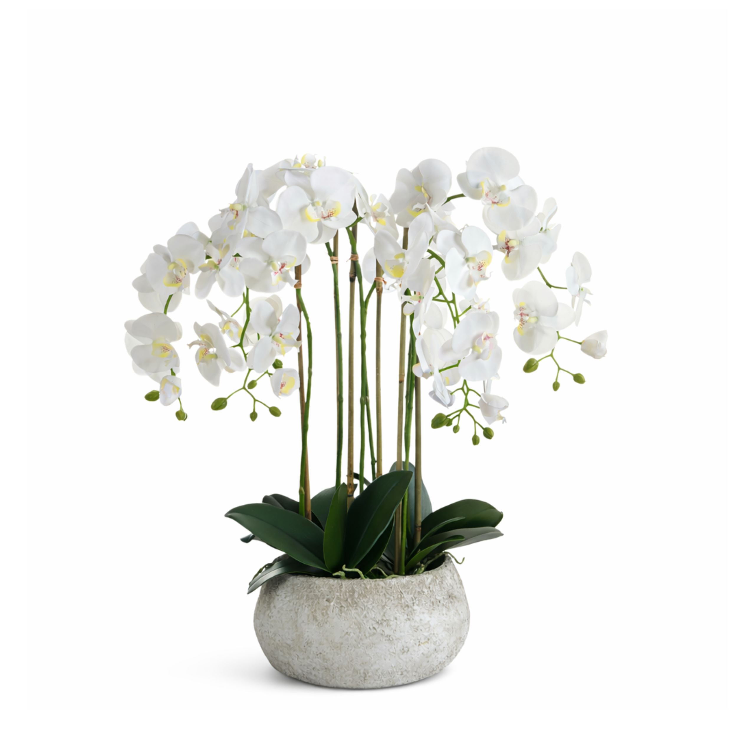 sia-noah-composition-orchid-e-serena-70-cm-fleur-artificielle-blanche image 1