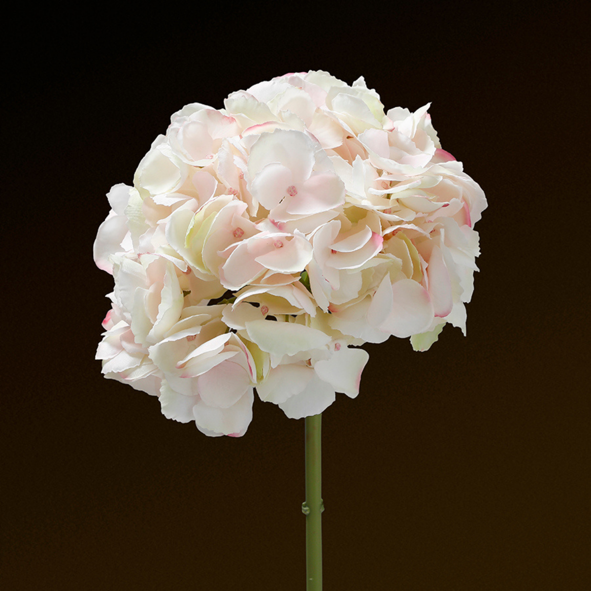 sia-noah-tige-hortensia-premium-bleu-48-cm image 5