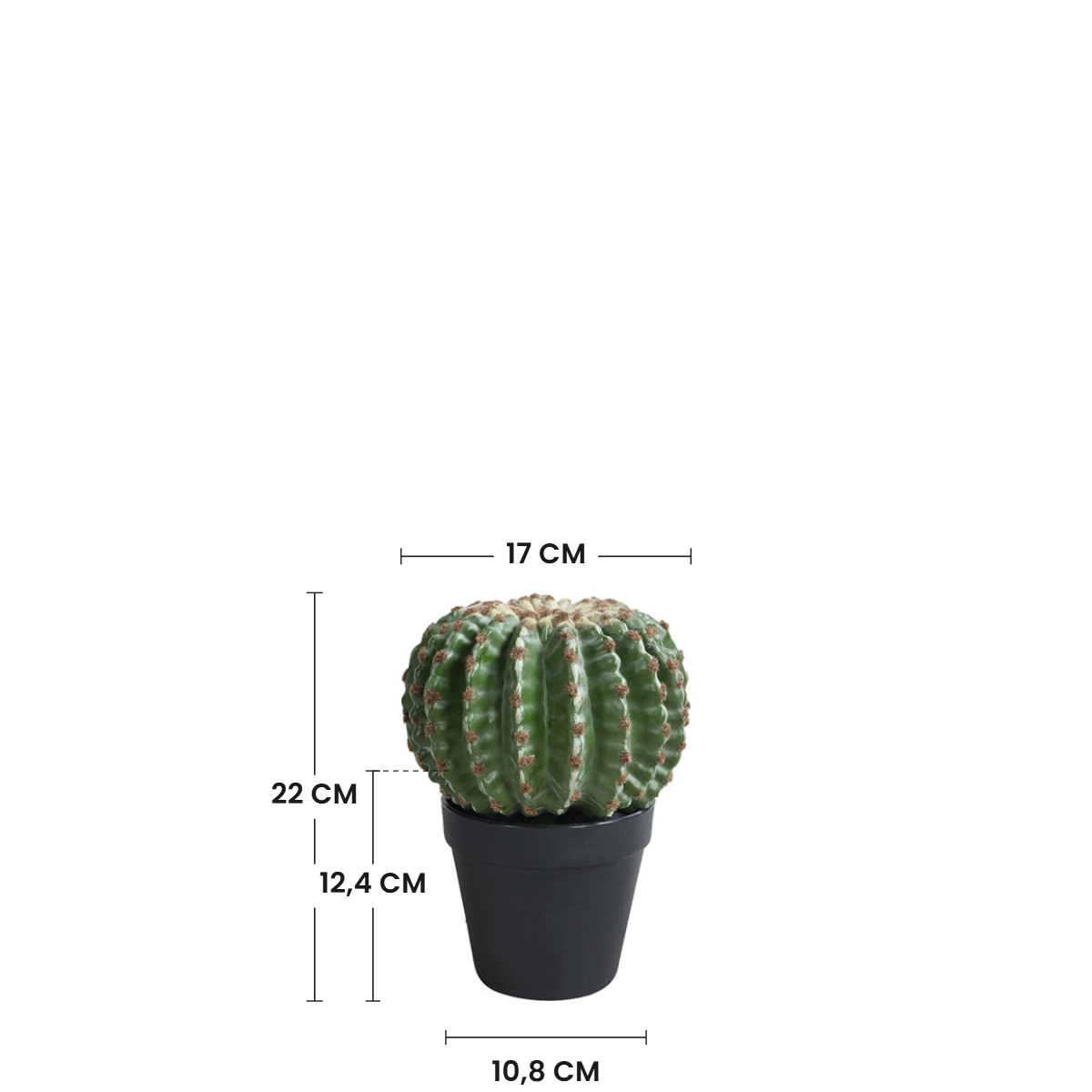 sia-noah-cactus-rond-en-pot-22-cm-vert image 4