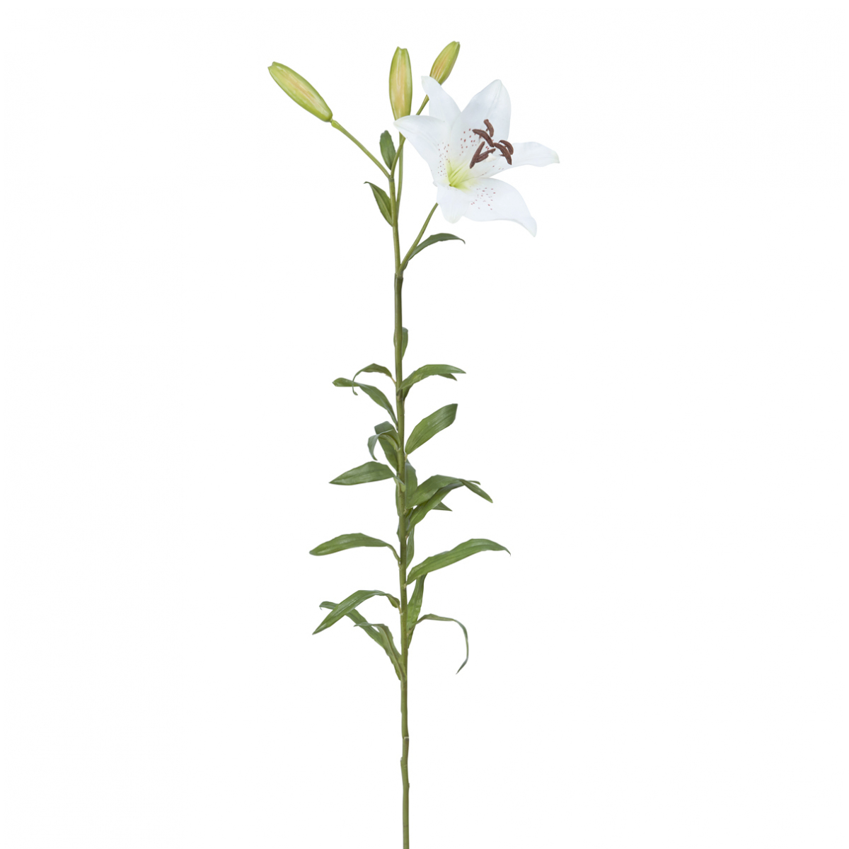 sia-deco-noah-lily-rubrum-elsa-tige-fleur-rouge-98-cm image 5