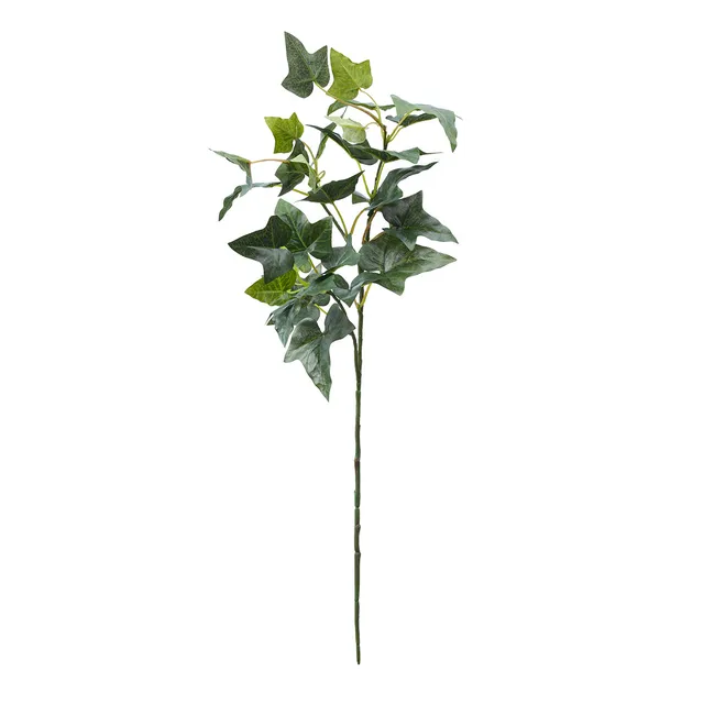 sia-noah-lierre-anglais-feuillage-artificiel-vert-61-cm image 1
