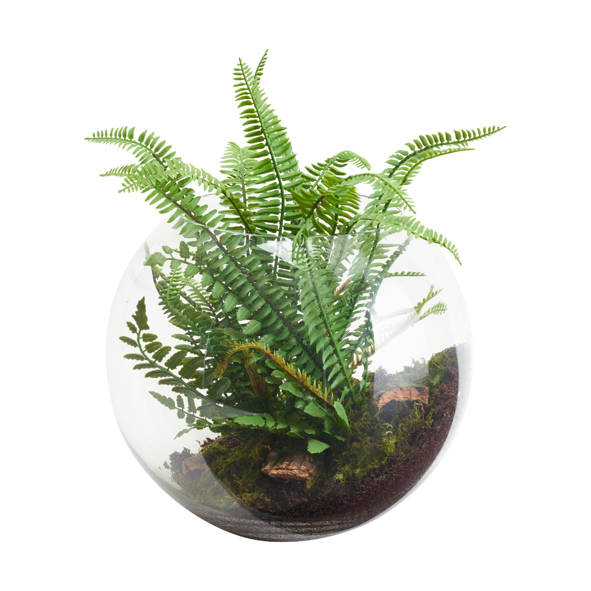 sia-deco-noah-composition-suspendre-foug-re-terrarium-vert-28-cm image 2