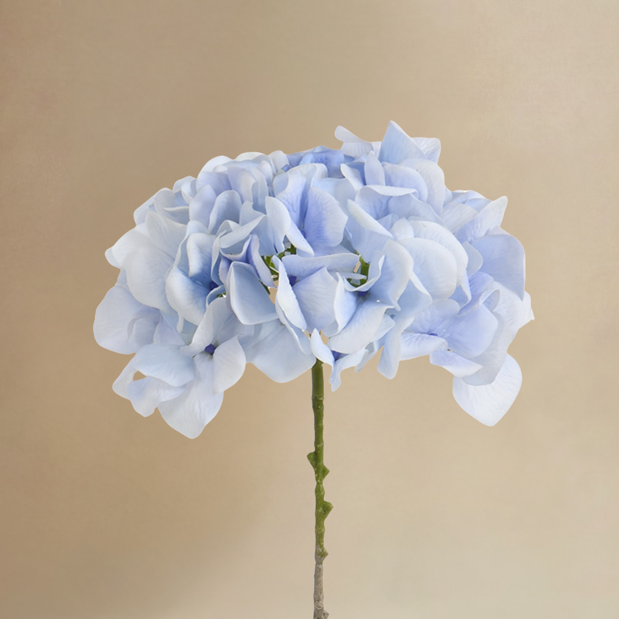 sia-deco-noah-bouquet-hortensia-bleu-9-tiges-63-cm image 5