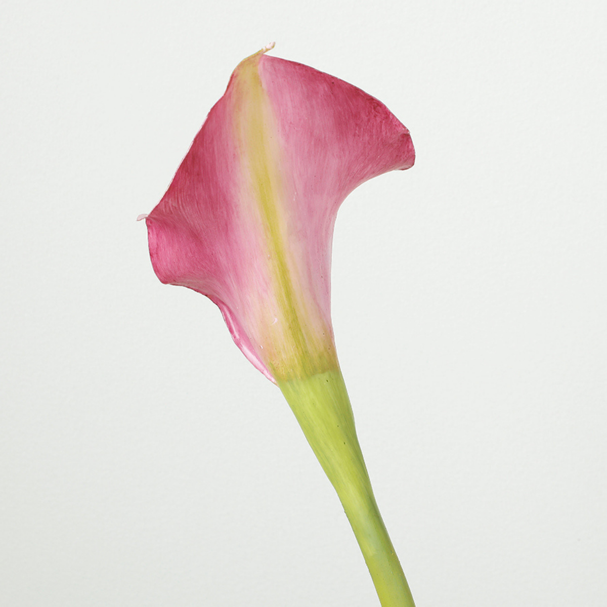 sia-noah-tige-arum-75-cm-fleur-artificielle-blanc-premium image 3