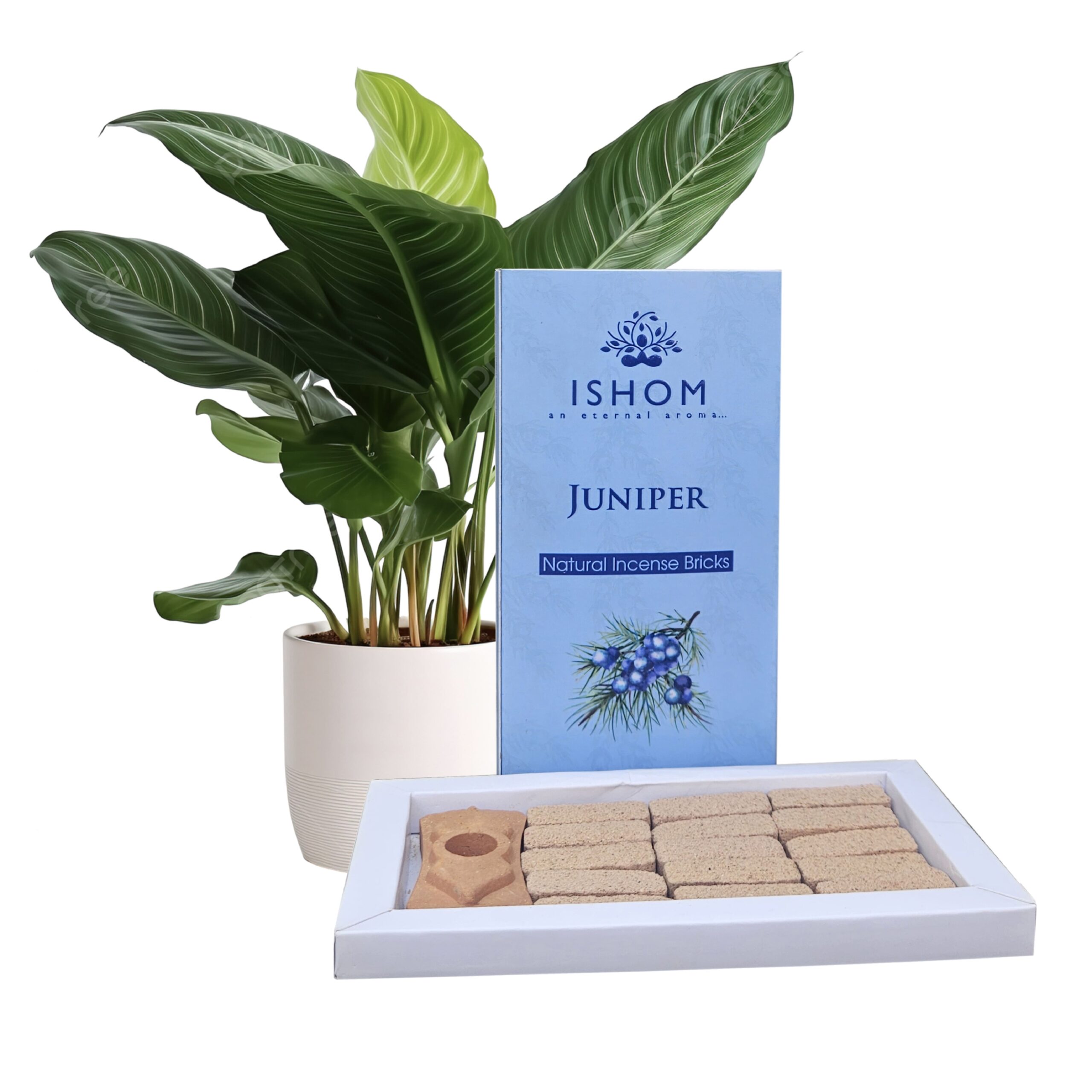 ishom-gen-vrier-briques-d-encens-naturel-15-pi-ces image 1