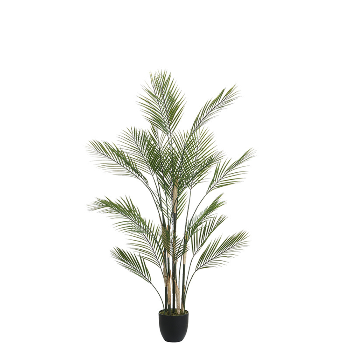 sia-deco-noah-kwai-palmier-artificiel-vert-pot-150-cm image 1