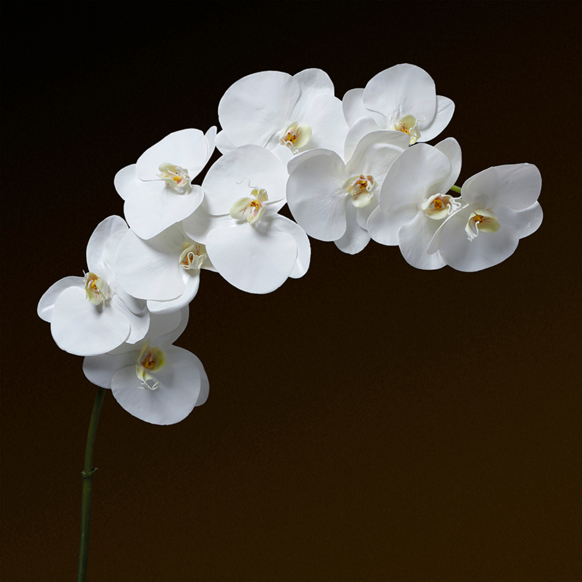 sia-deco-noah-orchid-e-artificielle-premium-blanc-86-cm image 2
