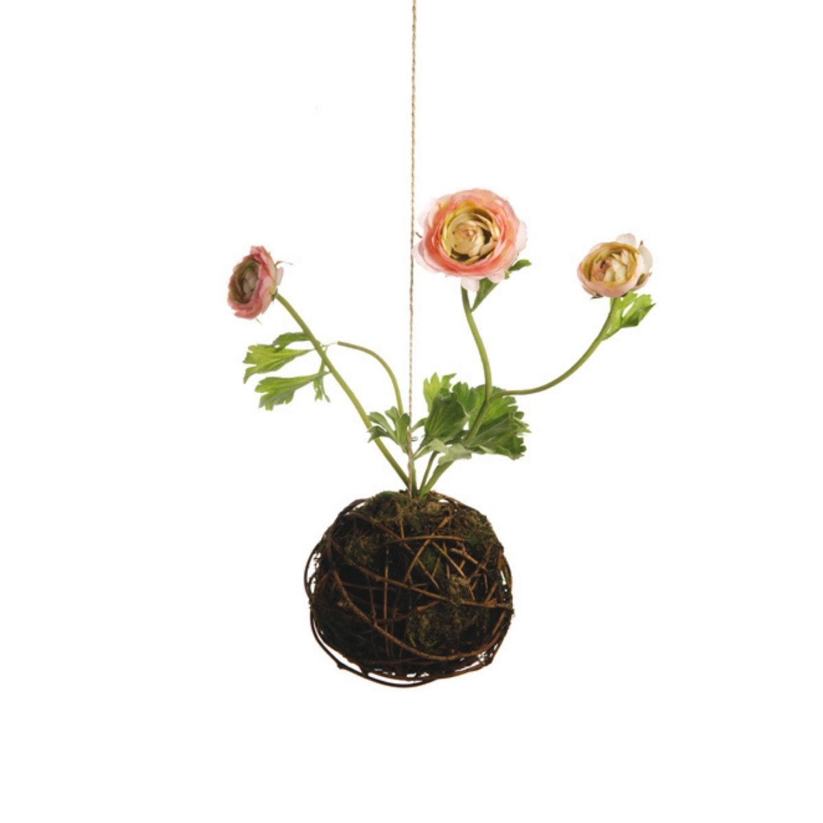 sia-noah-suspension-renoncules-composition-rose-p-le-25-cm image 2