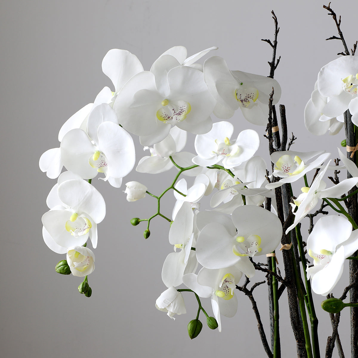 sia-deco-noah-composition-orchid-e-artificielle-blanc-90-cm image 4