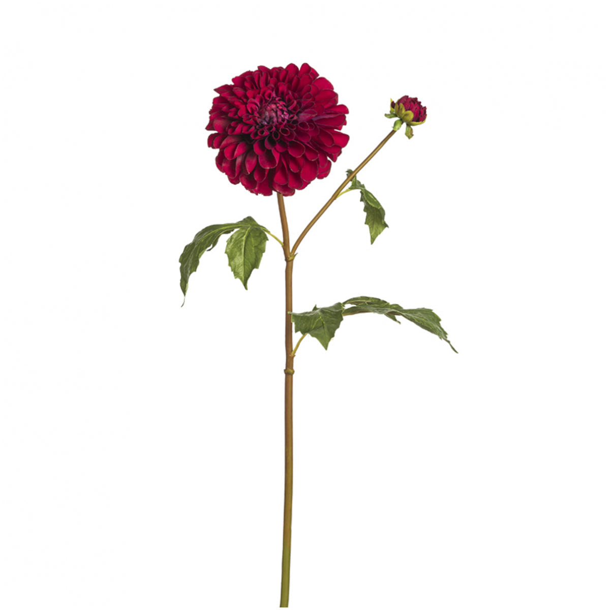 sia-deco-noah-bonnie-tige-dahlia-rose-50cm-bourgeon image 4