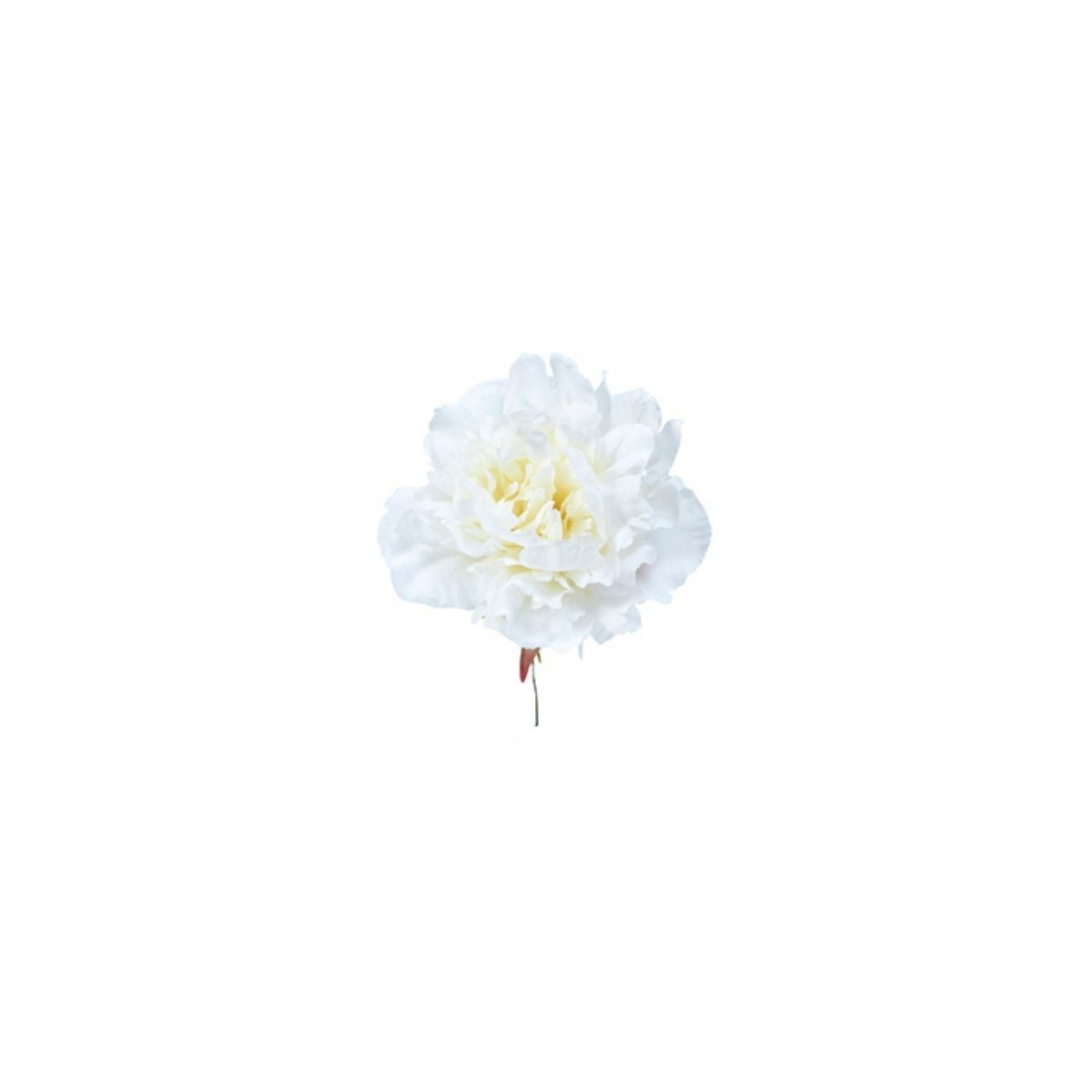 sia-noah-tige-de-pivoine-piquer-blanc-18-cm image 1