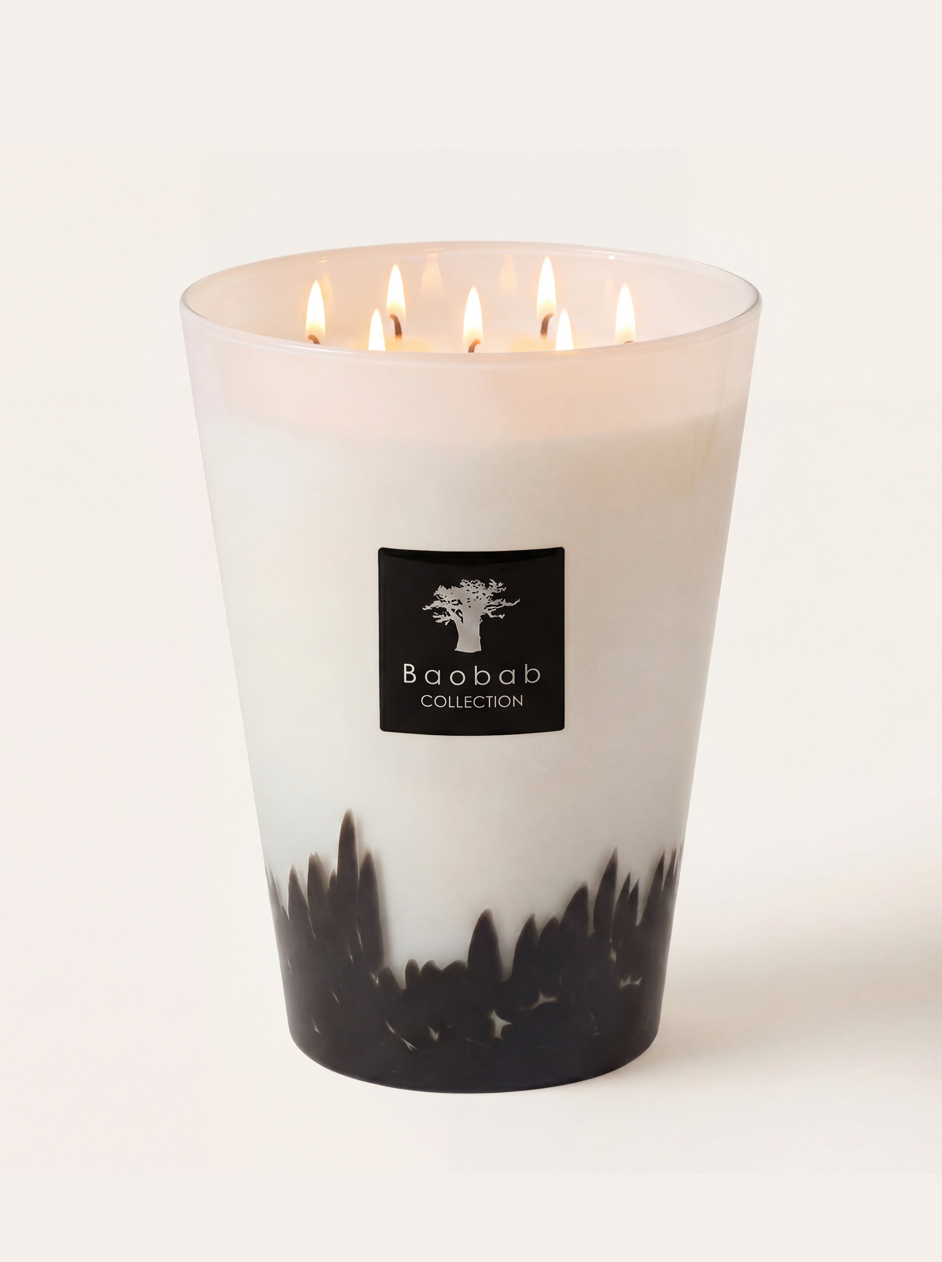 baobab-collection-feathers-bougie-parfum-e-classique-verre-noir image 5