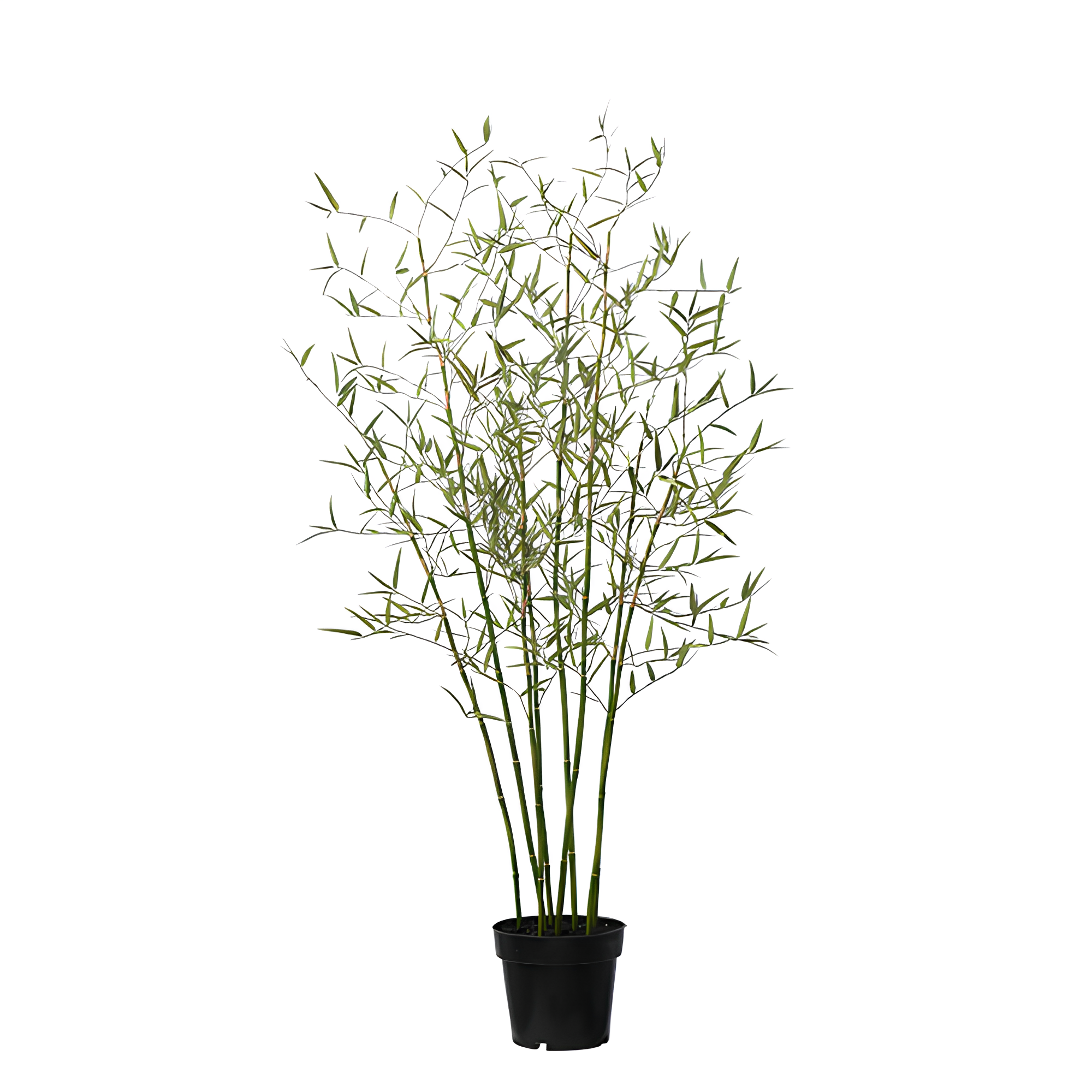 sia-deco-noah-arbre-bambou-en-pot-125-cm-vert image 1
