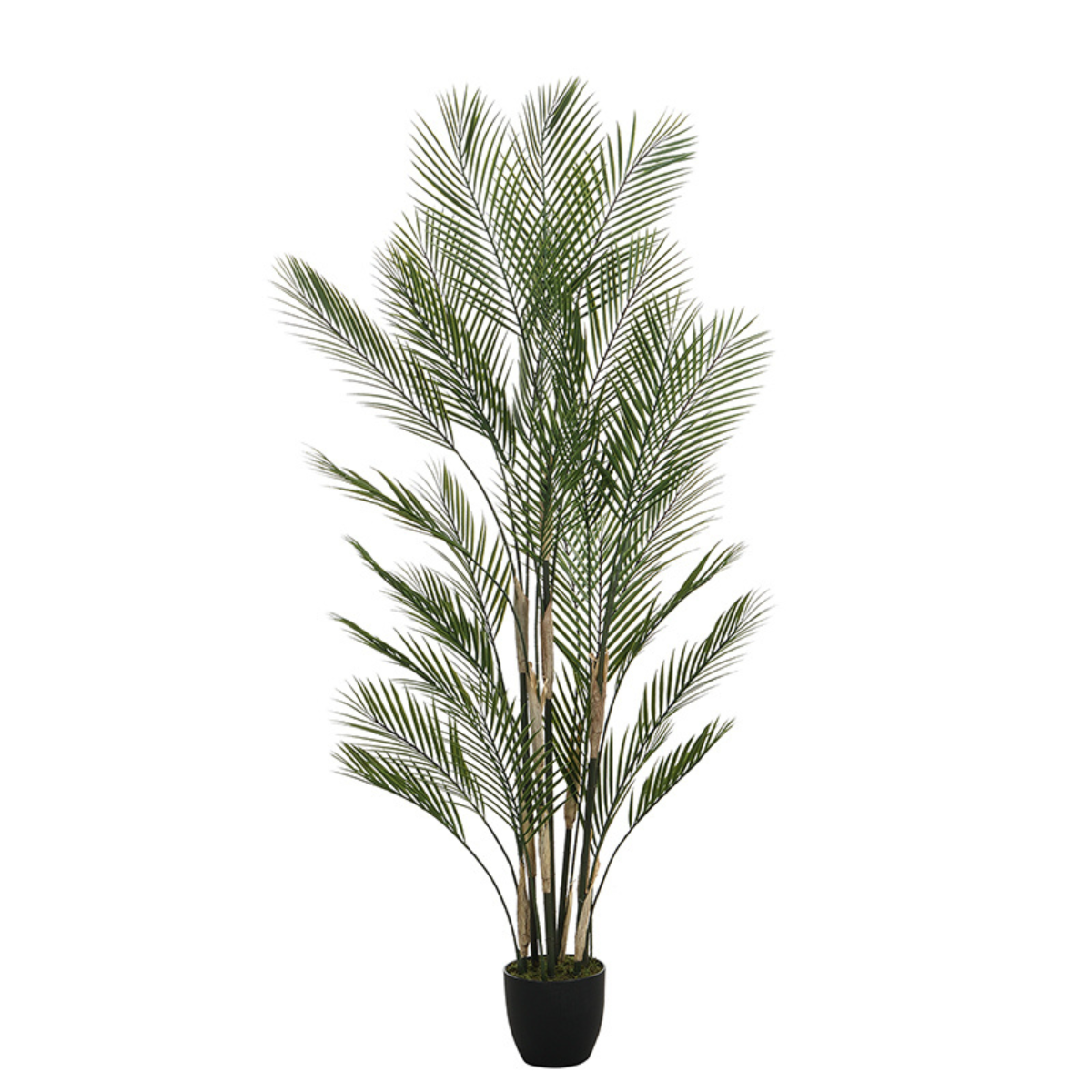 sia-noah-palmier-kwai-en-pot-180-cm-arbre-artificiel-vert image 1