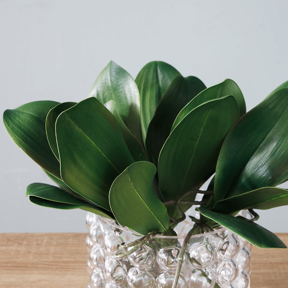 sia-noah-feuillage-orchid-e-phalae-artificiel-vert-22-cm image 3