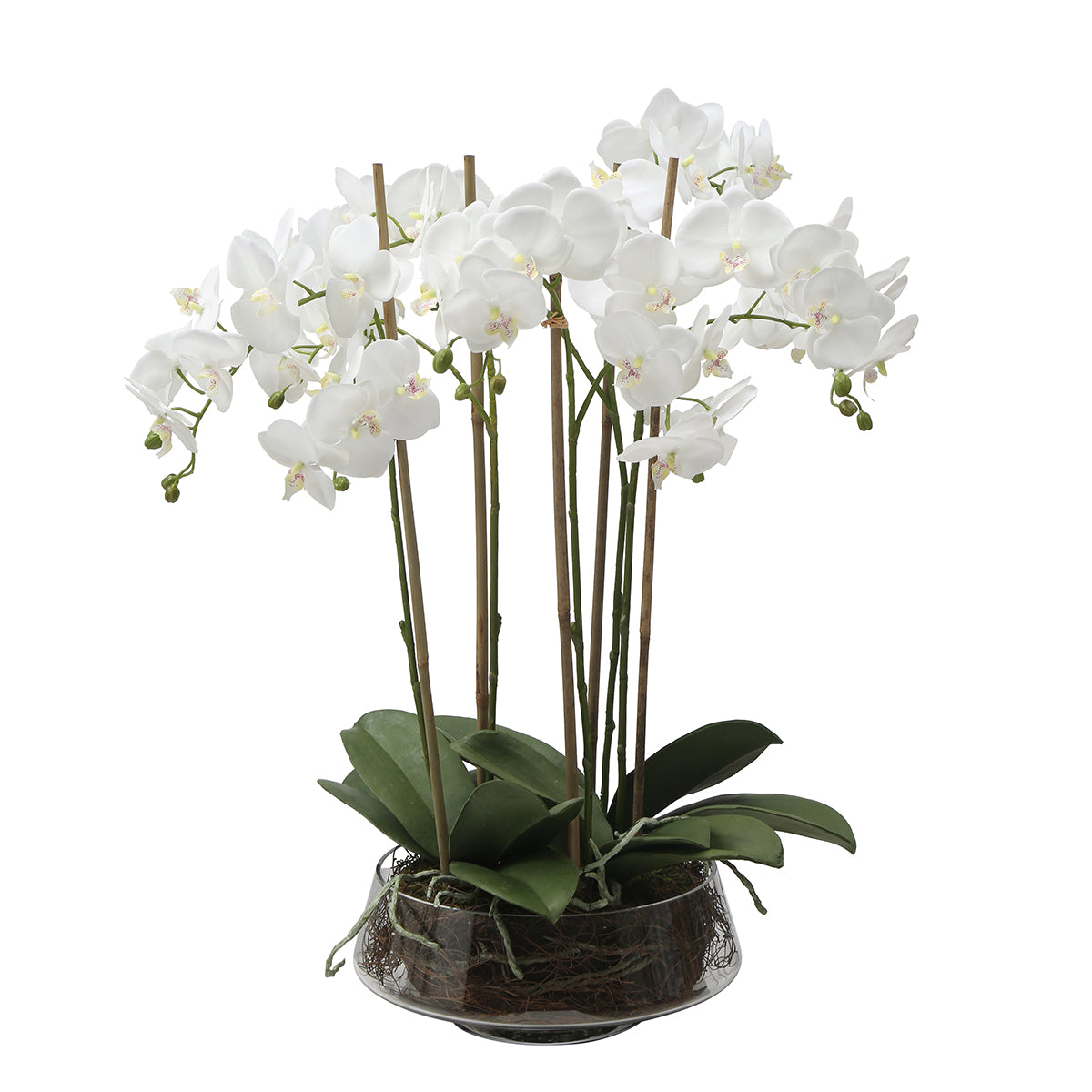 sia-noah-lena-composition-orchid-e-artificielle-blanc-72cm image 1