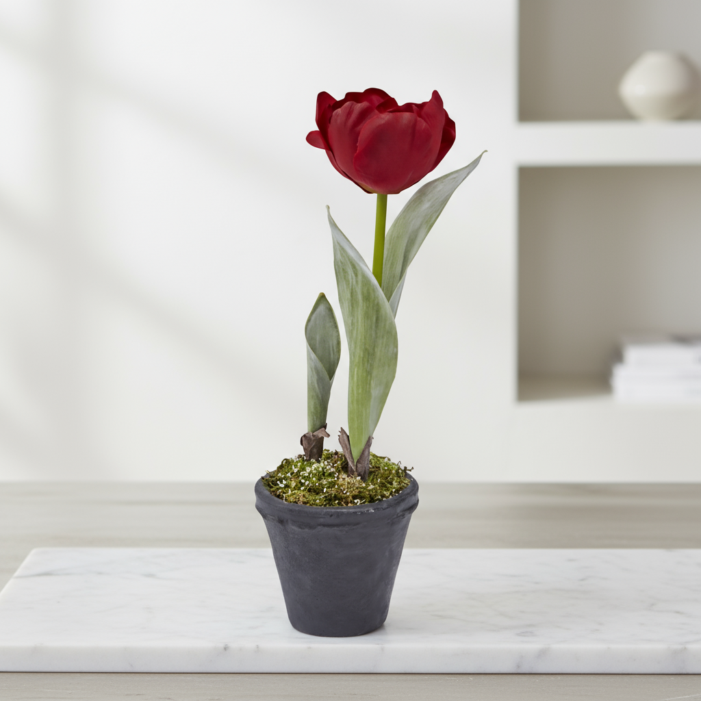 sia-deco-noah-tulipe-givr-e-plante-artificielle-blanc-pot-27-cm image 4