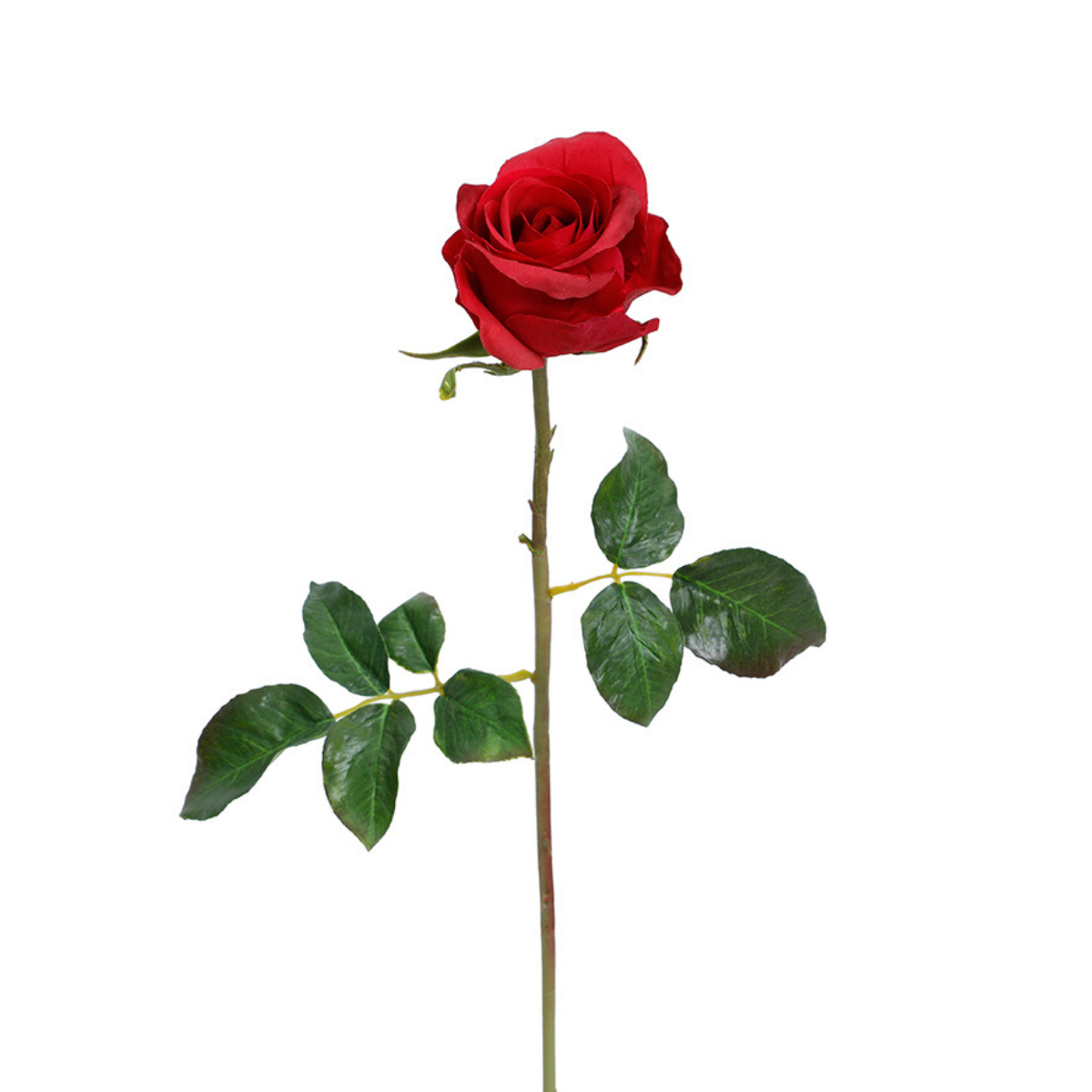 sia-noah-tige-rose-ferm-e-50-cm-rouge-premium image 6