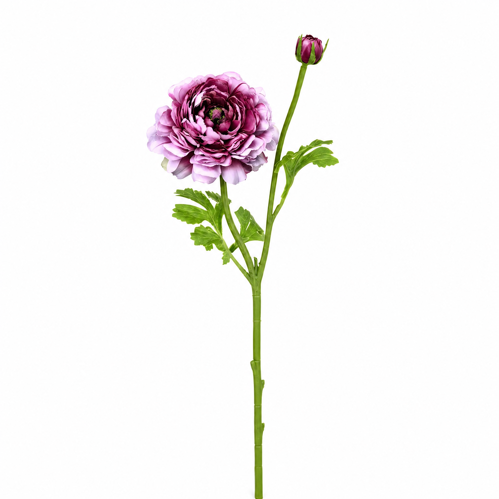 sia-deco-nora-tige-renoncule-artificielle-40-cm-rose-p-le image 1
