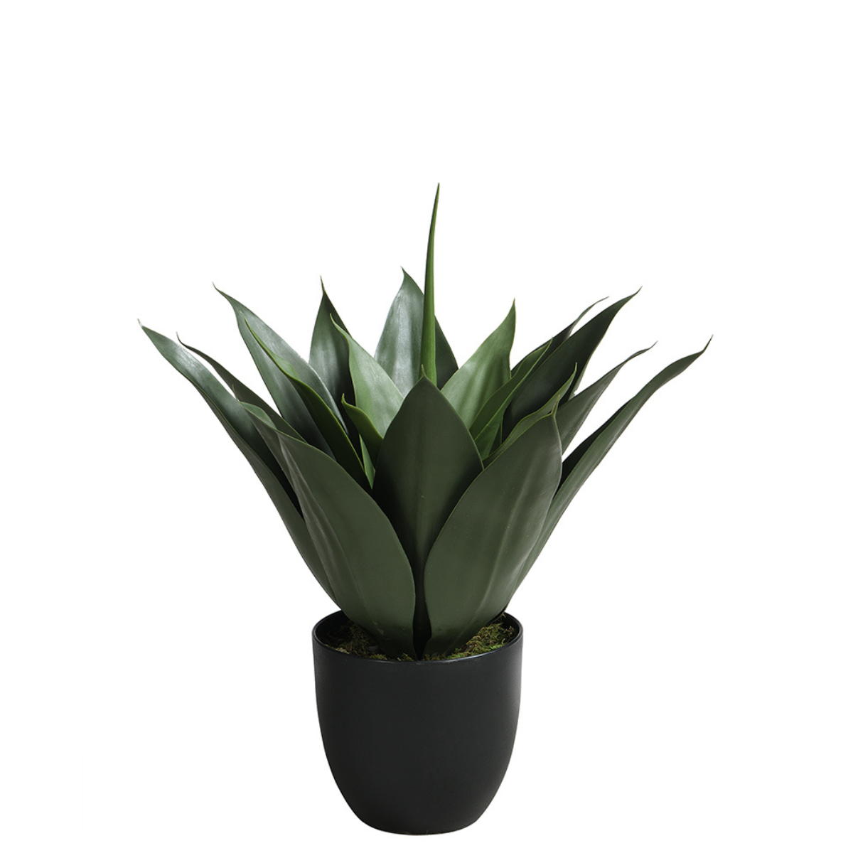 sia-deco-noah-agave-artificiel-en-pot-vert-51-cm image 1