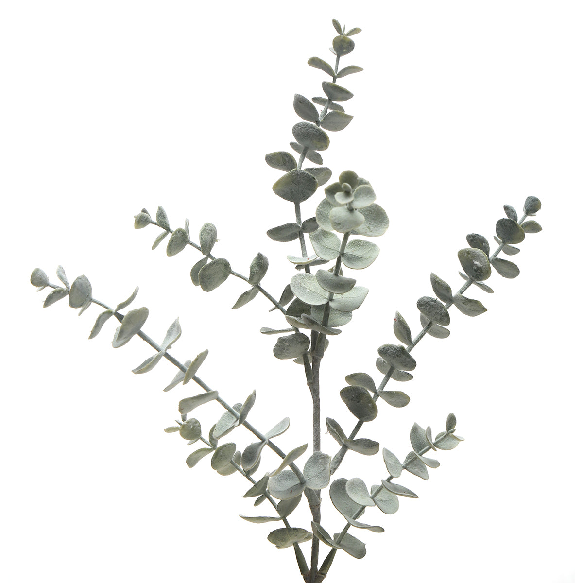 sia-noah-eucalyptus-artificiel-53-cm-vert-blanchi image 3